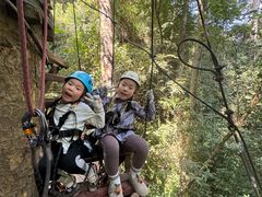 -西双版纳原始森林公园