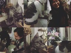 -海边的猫和咖啡馆