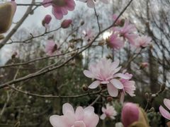 -上海滨江森林公园