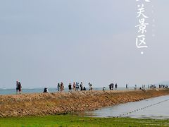 -八大关景区