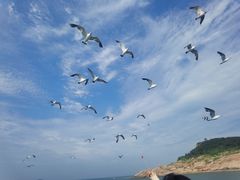 -海驴岛(荣成市)