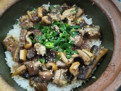 -红星光发煲仔饭(大石街店)