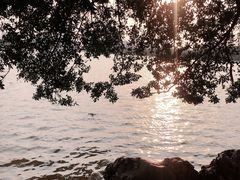 -松山湖南湖湾露营营地