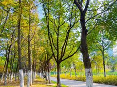 -天鹅湖体育公园