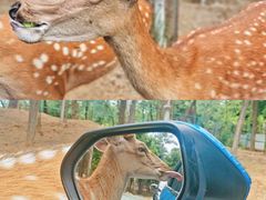 -秦皇岛野生动物园