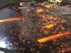 -星鸿社重庆老火锅