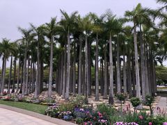 -深圳国际园林花卉博览园