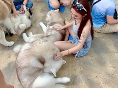 -TrueLove @ Neverland (Husky Cafe)