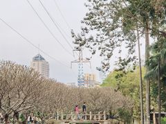 -晓港公园