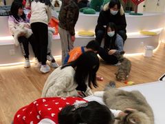 -COLOR PETS 撸猫馆·购猫·猫咖(长风大悦城店)
