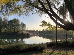 -马家湾湿地公园