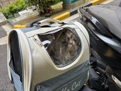 -酷狗靓猫宠物·洗护·美容·寄养(航北路店)
