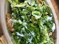 -油梨树AVOCADO TREE(嘉里中心店)
