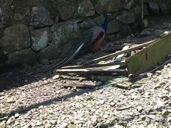 -藏龙百瀑风景区