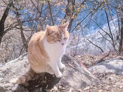 -终南山南五台景区