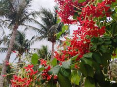 -白沙湾海滩
