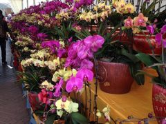 -珠海市体育中心-游泳馆