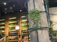 -Kub Kao Kub Pla (Terminal21)