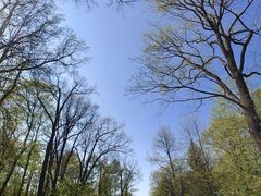 -滴血救世主教堂