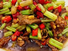 小炒黄牛肉-新新湘菜馆(新中街二条店)