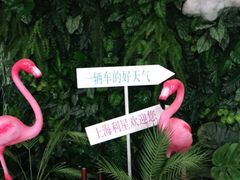 -奔驰上海利星(七宝店)