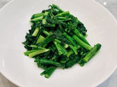 清炒板蓝根-玉华台饭庄·淮扬菜·烤鸭(望京店)