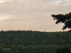 -帽儿山国家森林公园