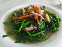 上汤西洋菜-辉记虾塘海鲜农庄