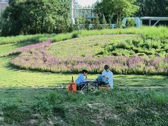 -汉长安城未央宫国家考古遗址公园