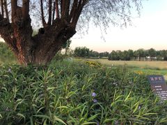 -汉长安城未央宫国家考古遗址公园