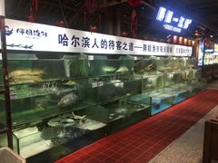 水产区-胖姐渔村(中源大道店)