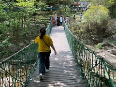 -宁波五龙潭景区