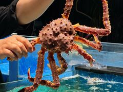 -古京·臻致料理(月湖店)