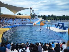 -秦皇岛乐岛海洋王国