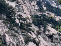 -泰山风景名胜区