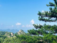 -六里坪国家森林公园