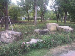 -白马涧龙池景区