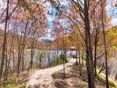 -玉渡山自然风景区