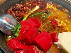 鲜鸭血-四小区火锅·巷子里的重庆火锅(花照壁店)