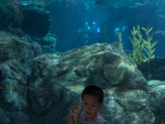 -暹罗海洋世界