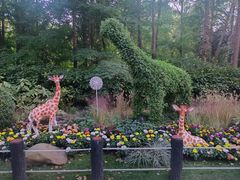 -上海共青森林公园