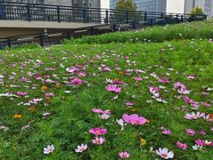 -梅州天地人花园酒店(梅县人民广场店)
