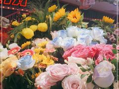 -马群招商花园城