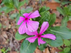 -弄堂里(雨花客厅店)