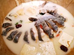 蒸汽长江黑洄鱼-滇小鱼·云南野生菌火锅(上杭路店)
