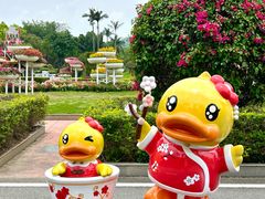 -东南花都花博园