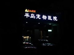 -半岛宠物医院24小时(科华中路店)