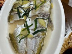 清蒸白丝鱼-观桥阁(锦溪店)