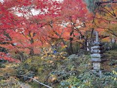 -常寂光寺