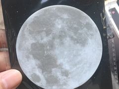 -丫丫蟹庄·苏式园林农家乐·阳澄湖大闸蟹(阳澄湖莲花岛店)